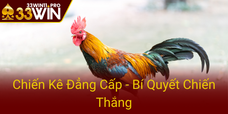 Chien Ke Dang Cap Bi Quyet Chien Thang0