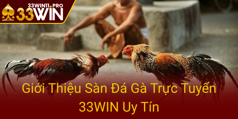 Gioi Thieu San Da Ga Truc Tuyen 33Win Uy Tin0