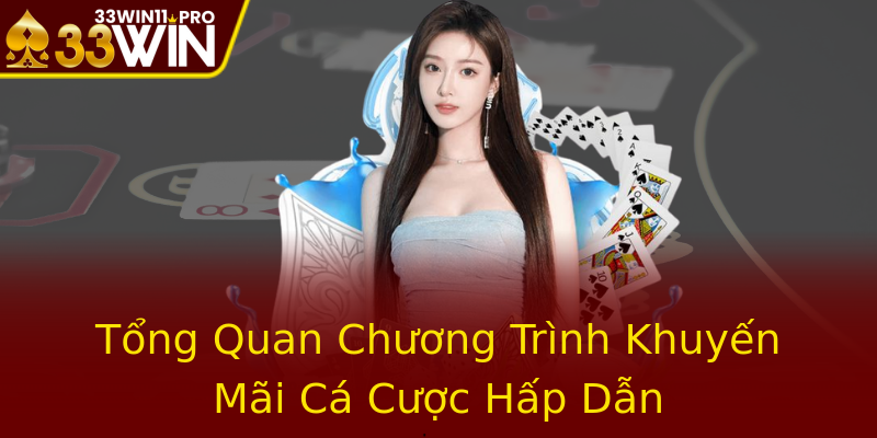 Tổng Quan Chương Trình Khuyến Mãi Cá Cược Hấp Dẫn