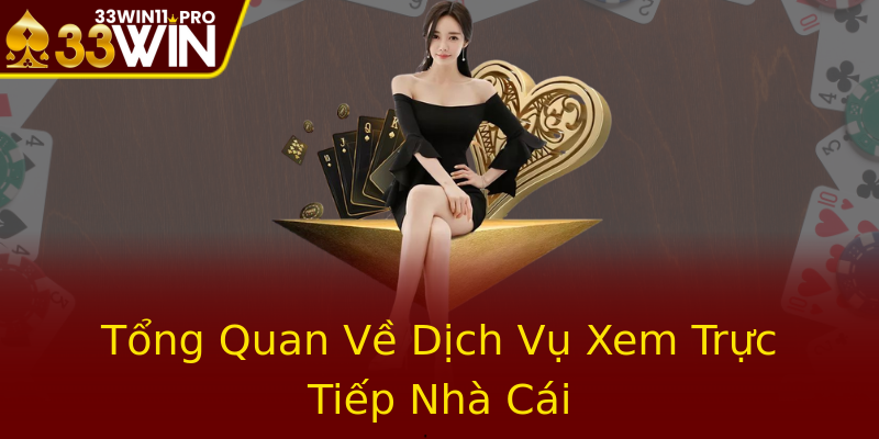 Tổng Quan Về Dịch Vụ Xem Trực Tiếp Nhà Cái